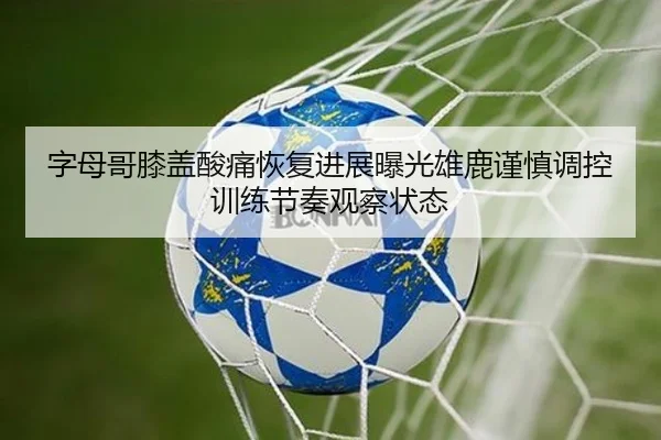 字母哥膝盖酸痛恢复进展曝光雄鹿谨慎调控训练节奏观察状态